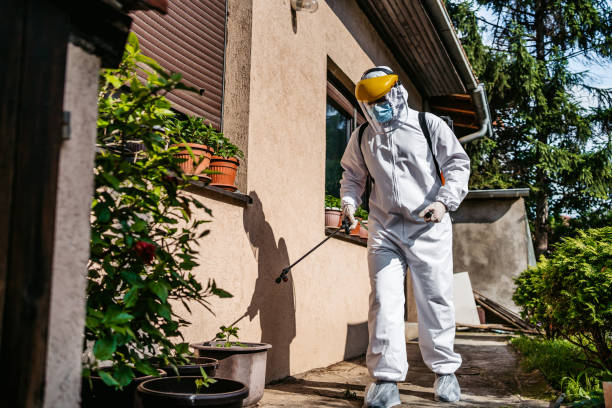 Best Mosquito Control Services  in Sauk Rapids, MN