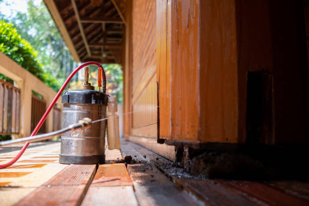 Best Pest Removal Services  in Sauk Rapids, MN